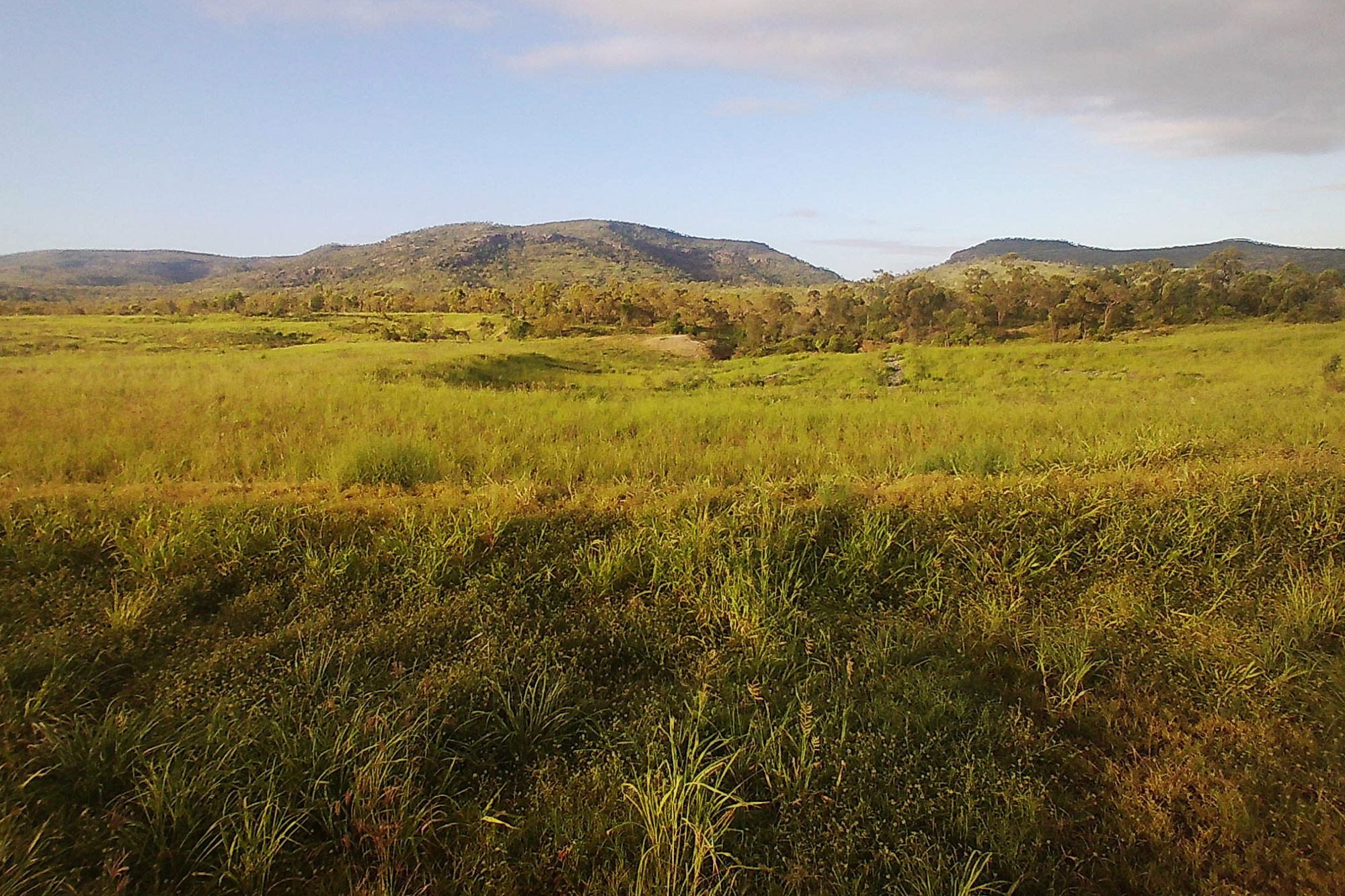 Glen-Bowen-Gully-No-Shadows-03665 LDC Gully Remediation Design And Construction Glen Bowen Station Gully 1, Bowen River Basin, Qld