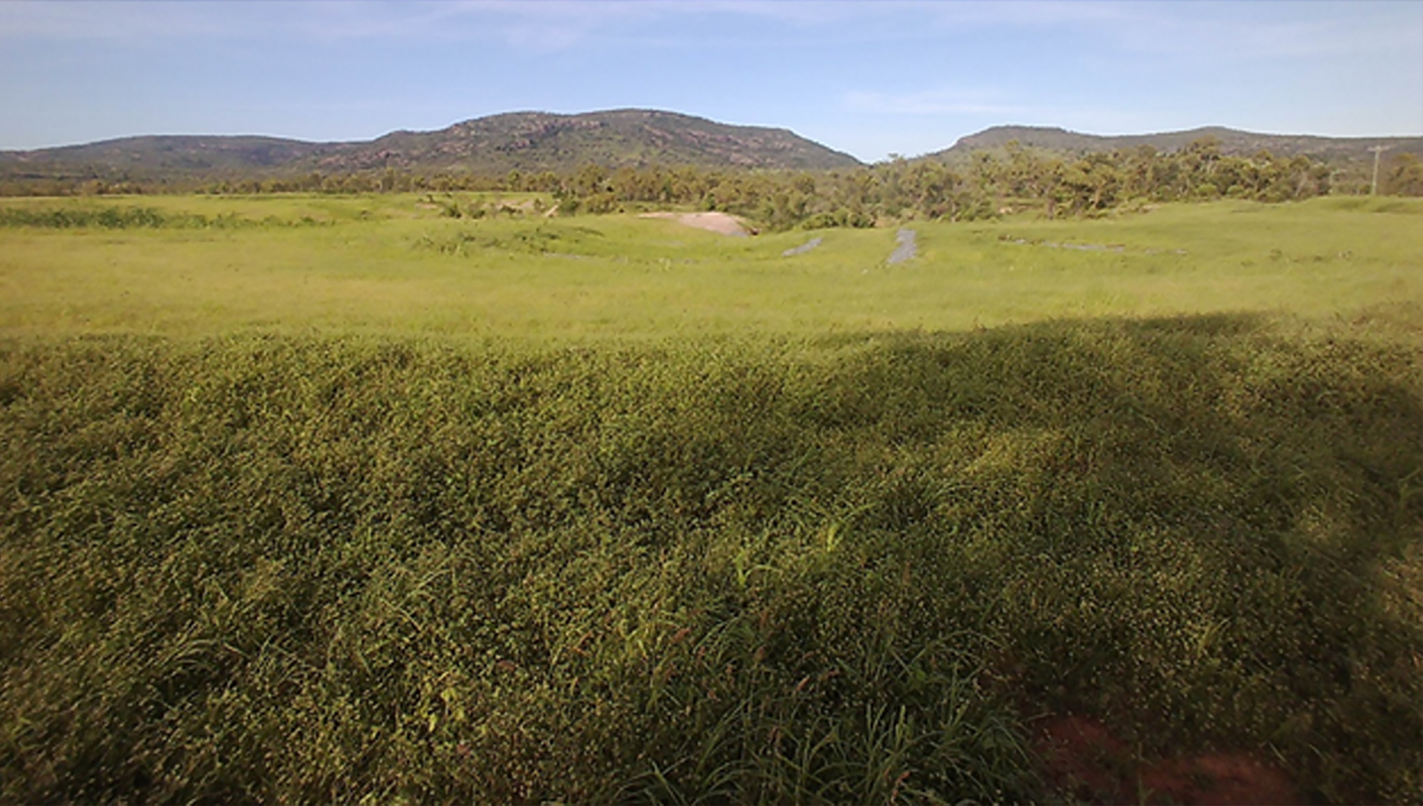 LDC-Gully-Remediation-Design-And-Construction-4 LDC Gully Remediation Design And Construction Glen Bowen Station Gully 1, Bowen River Basin, Qld