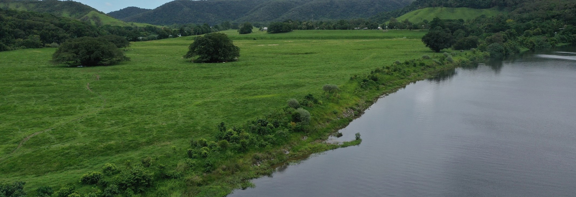 Daintree-River Daintree River