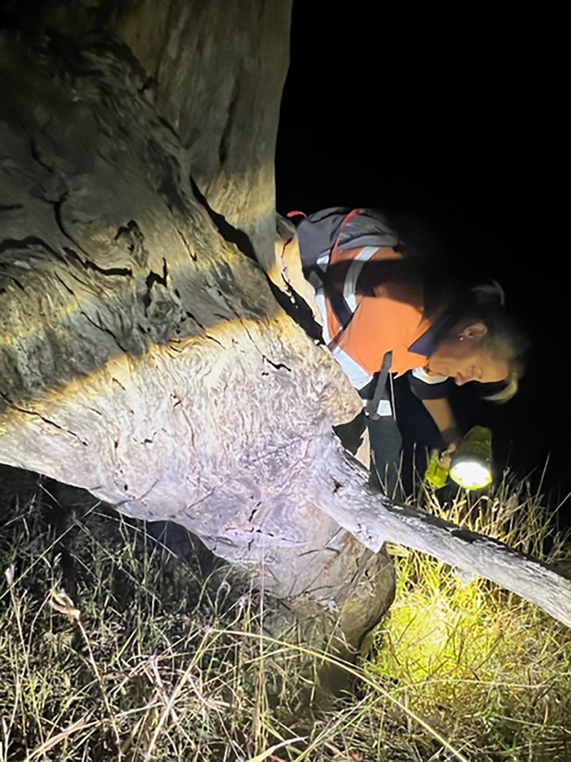 Ecological-assessments-3 Ecological assessments