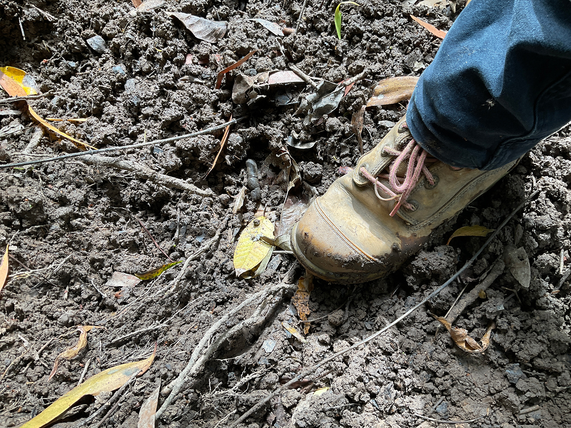 Ecological-assessments-4 Ecological assessments