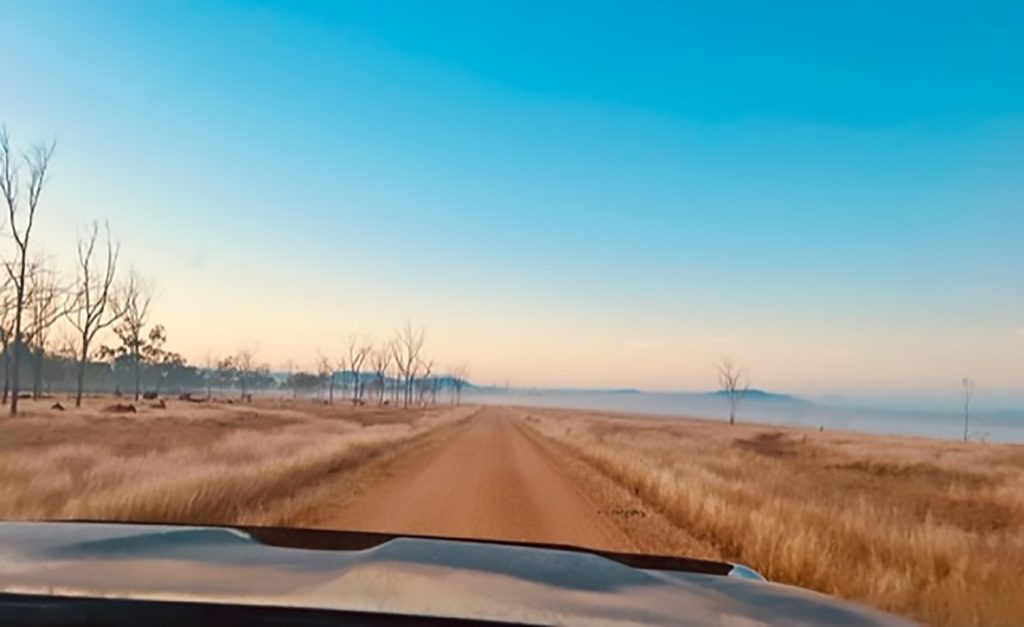 photos-landscape Ecological assessments