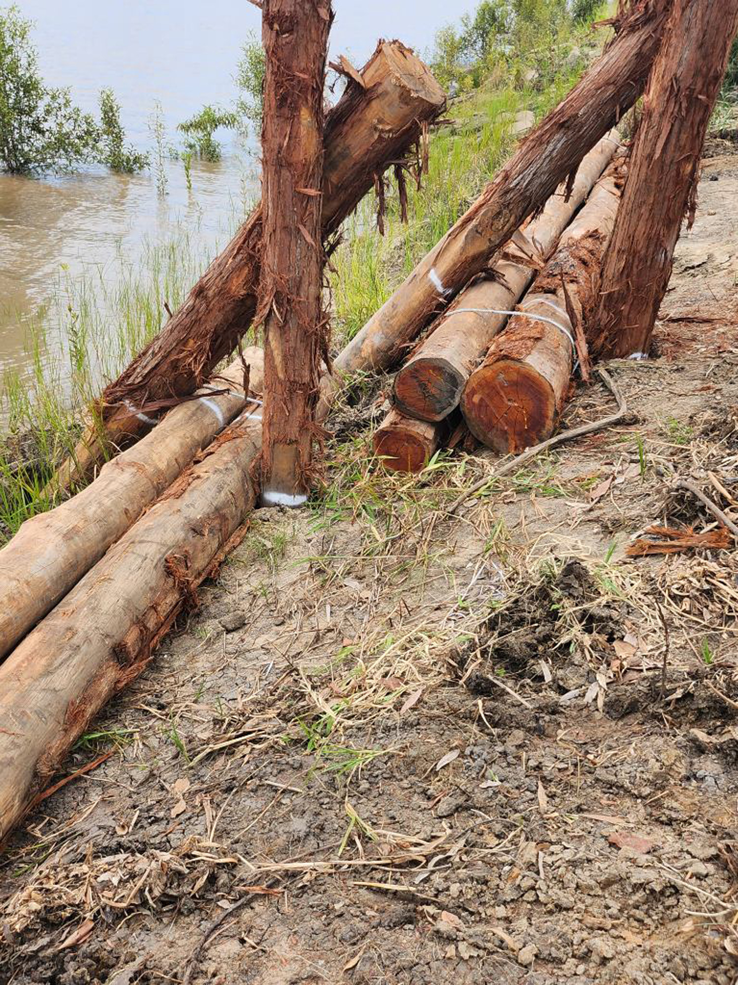 Capacity-building-2 Building Capacity