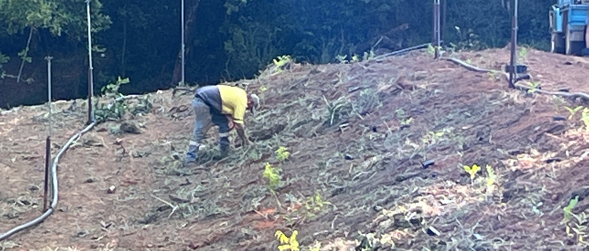 Capacity-building-5 Building Capacity