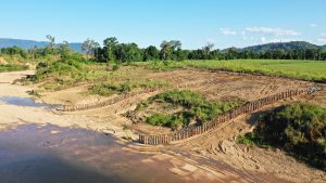 Herbert-river-pile-field-2 Herbert River pile field