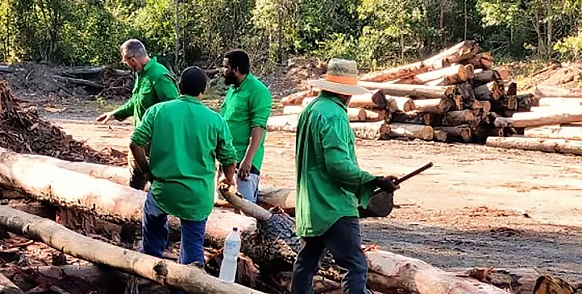 Inclusion-1 Inclusion