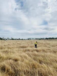 Trasect surveys RE mapping grassland